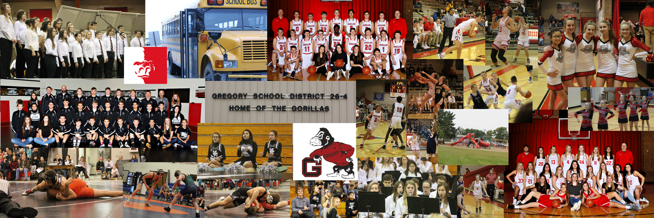 Collage of sport and activity pictures 